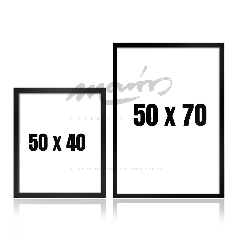 Cuadro coleccionable McPato - Icono de Poder